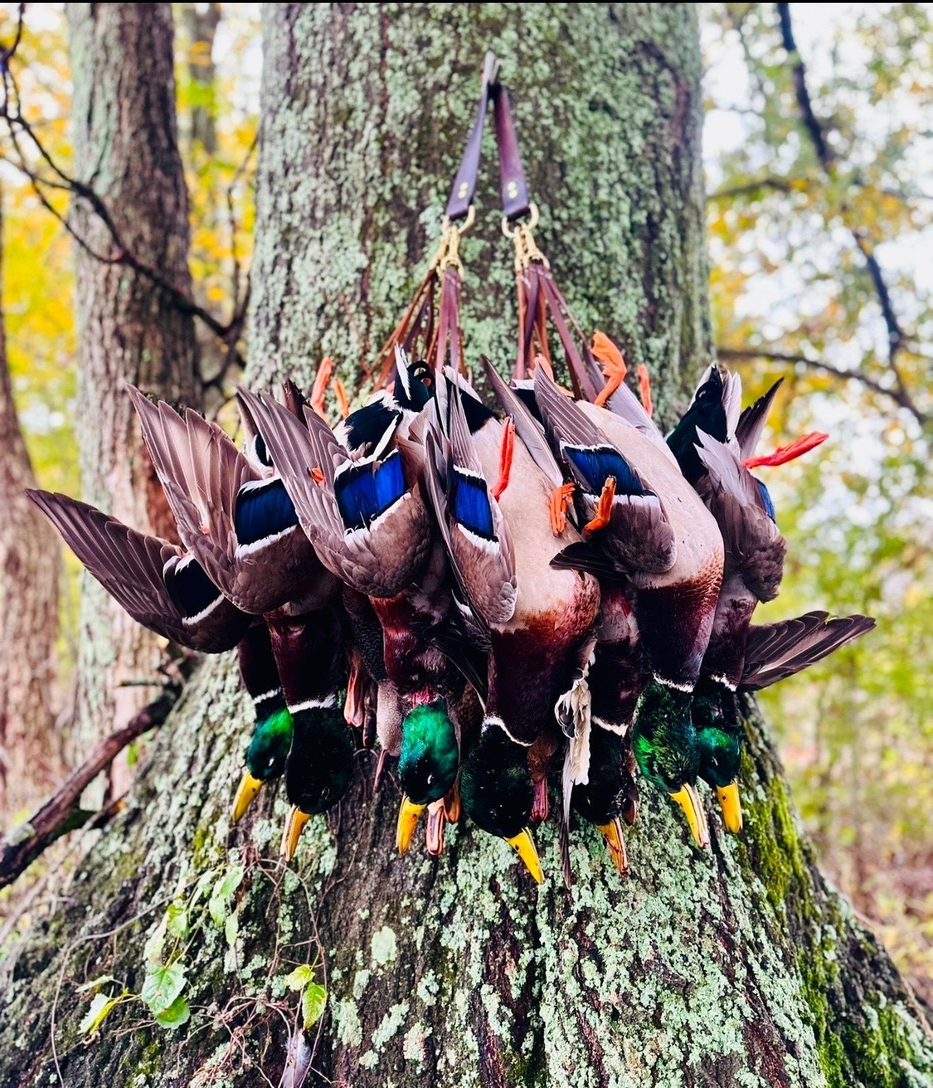 Columbus Day Sale/ Half off on Duck Totes at Checkout!! 50% OFF