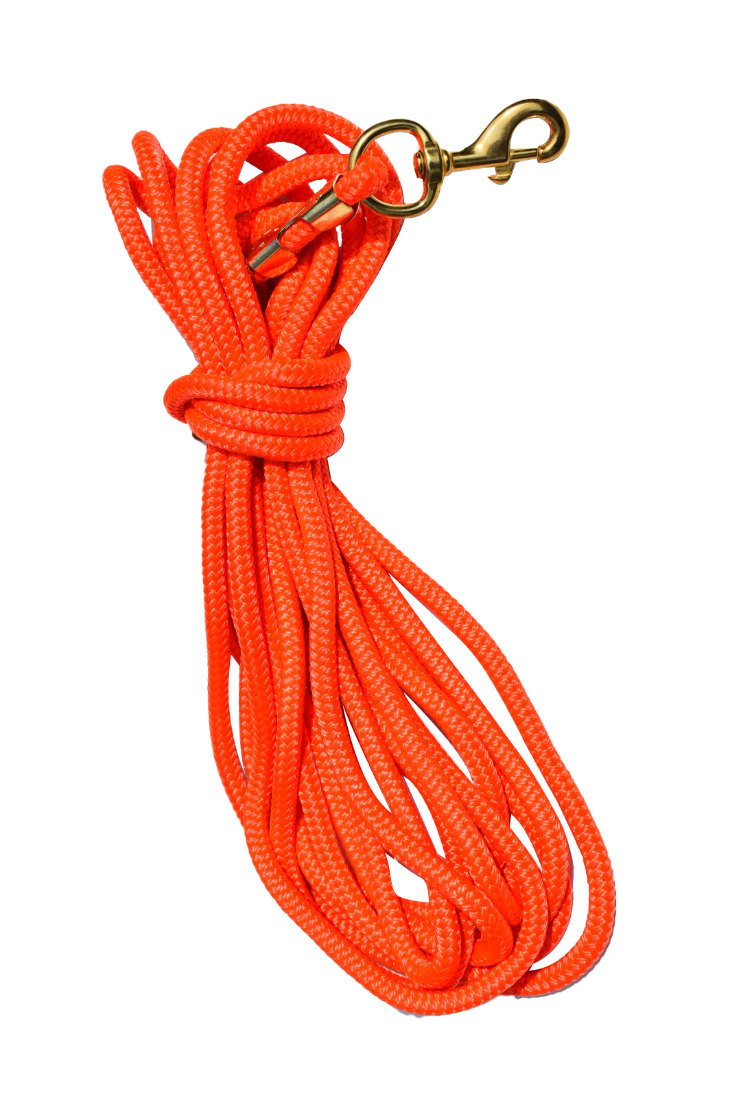 30ft Nylon Dog Training Check Cord / Rope