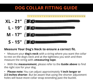 Dog Collar Decorated With Shotgun Shells