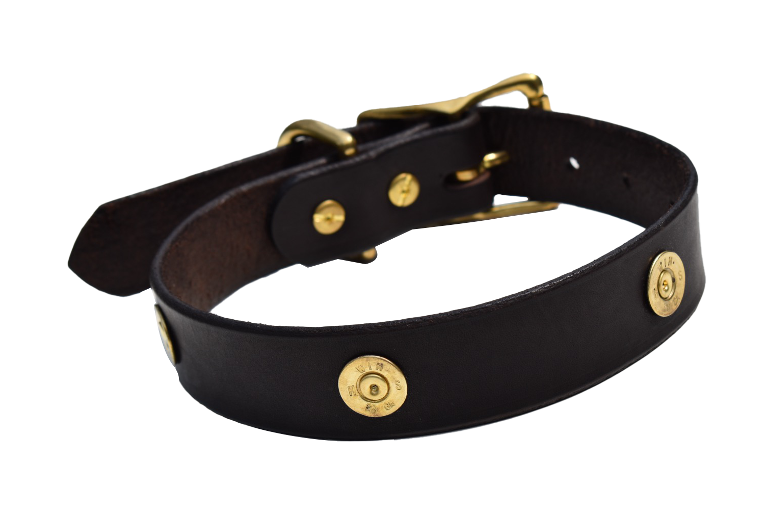 Dog Collar Decorated With Shotgun Shells