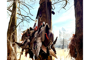 Gadwall II Leather Duck Carrier Tote