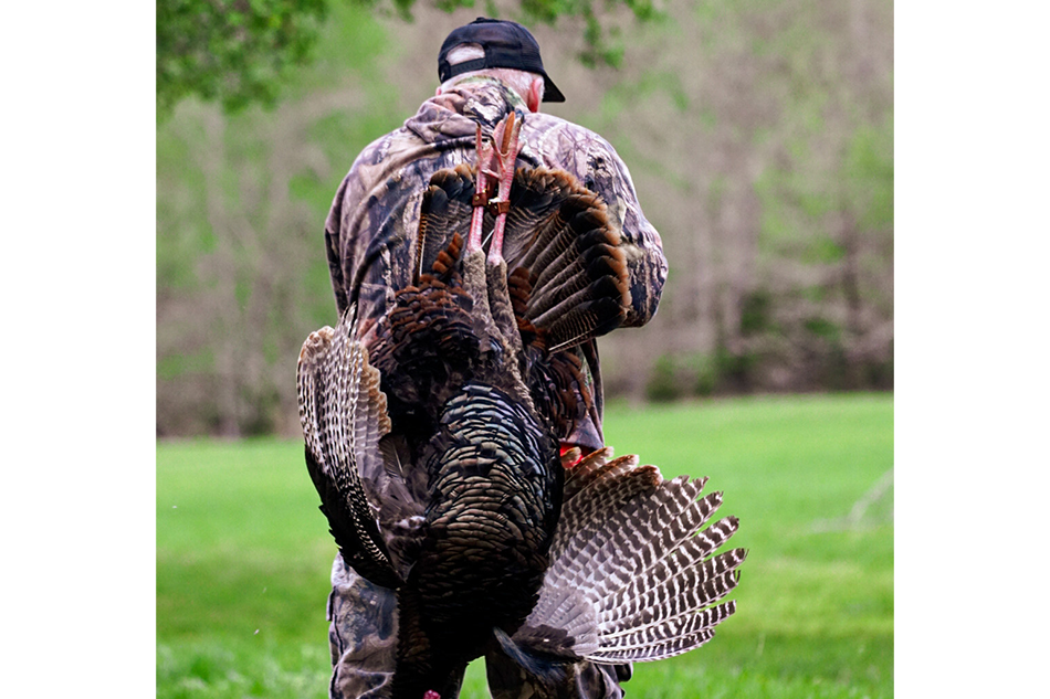 Artículo n.° 7: The Long Beard—Pavo Carrier/Tote