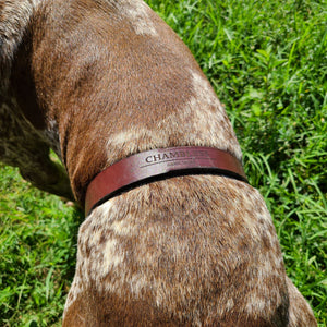 Durham Dog Training Flank Collar